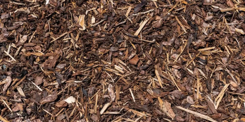 Top 10 Low-Maintenance Deck Materials